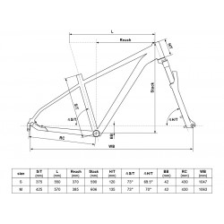 Rower Kellys Vanity 10 geometria